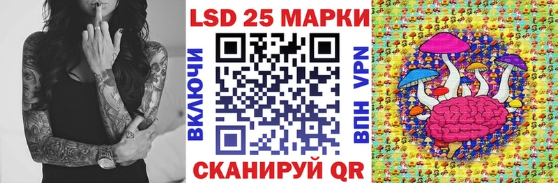 Купить где Ачхой-Мартан Марки NBOMe 1,8мг