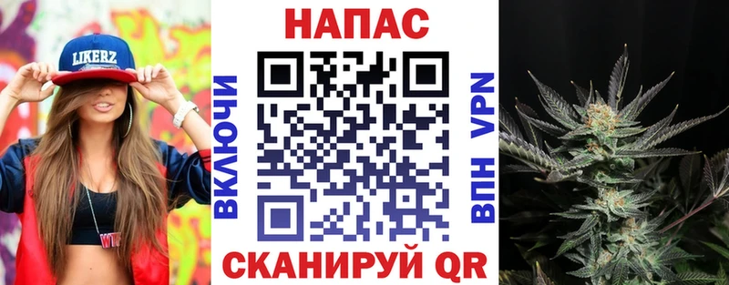 Купить  Ачхой-Мартан  Каннабис семена 